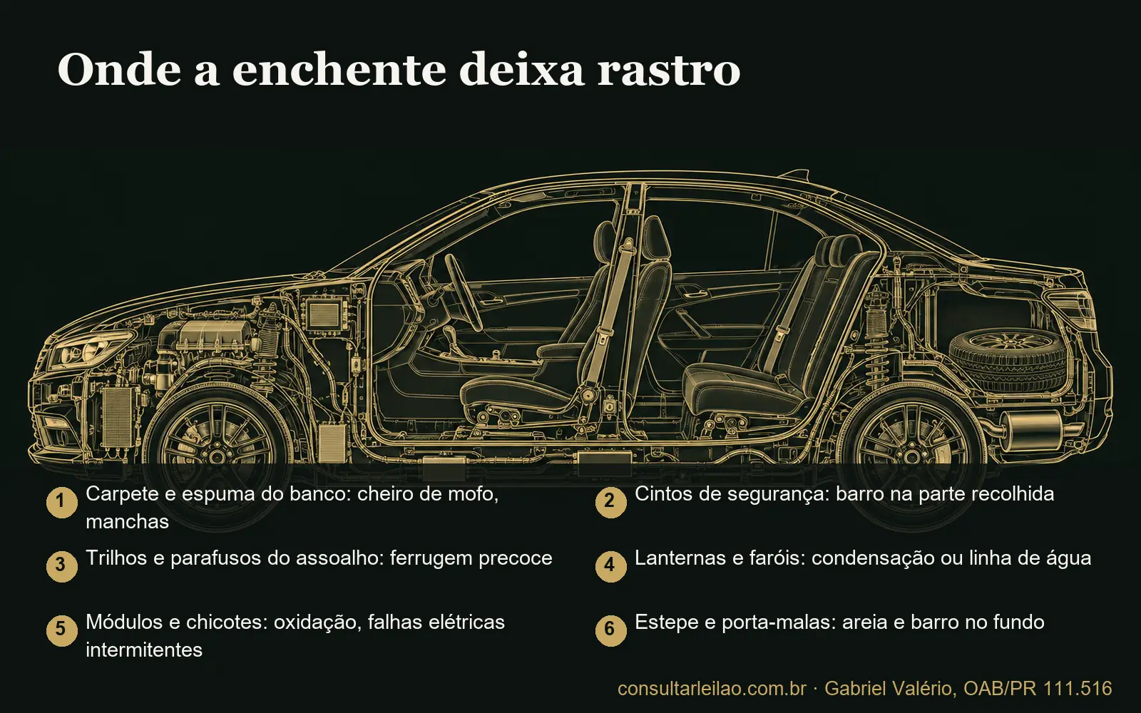 Ilustração em corte de um carro com seis pontos onde a enchente deixa sinais: carpete, cintos, trilhos, lanternas, módulos elétricos e porta-malas.